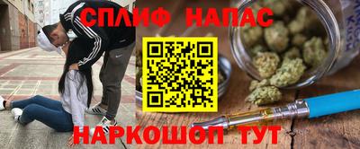 МДПВ Новозыбков