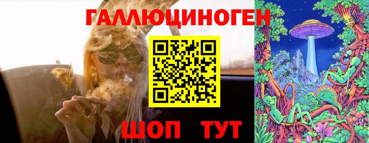 Псилоцибиновые грибы GOLDEN TEACHER  Вход с VPN  Псилоцибиновые грибы Magic Shrooms  Таганрог 